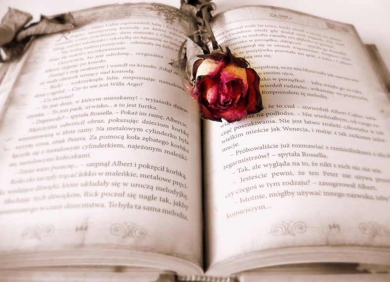 Enigmatic Tales Image